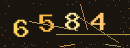 확인번호