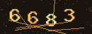 확인번호