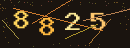 확인번호